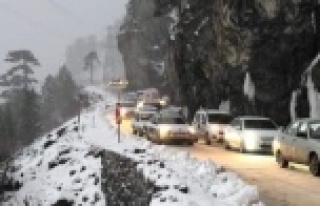 Alanya Kuşyuvası'ndaki can pazarından sevindirici...