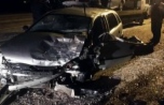 Alanya plakalı araç kaza yaptı: 1 ölü, 1 yaralı...