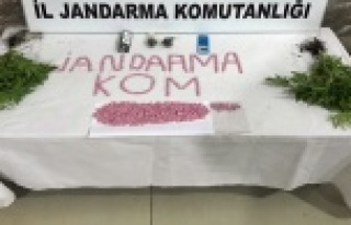 Alanya’da 738 adet uyuşturucu hap ele geçirildi