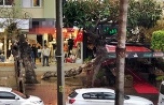 Alanya’da fırtına sonrası restoranın üzerine...