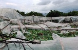 Hortum seraları vurdu