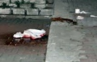 Alanya’da kardeş kardeşi öldürdü!