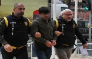 Alanya’daki kardeş cinayetinde mide bulandıran...