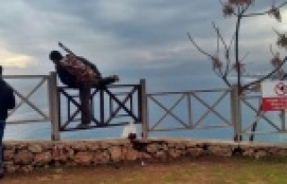 Balıkçılar yasak dinlemiyor