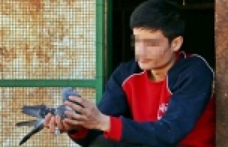 Bonzainin gerçek yüzünü kullananlar anlattı!