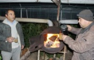 Çiftçiler dona karşı seralara odun taşıdı!