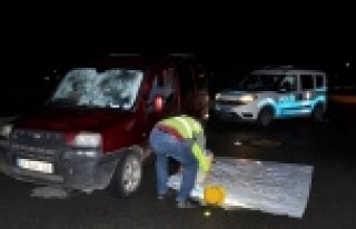 Hamile kadın ve bir kişi silahlı saldırıda hayatını...