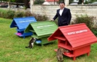 Parklar kedi evleriyle neşelendi