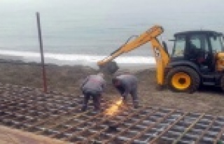 Alanya Belediyesi sahilde kaçak yapı işgaline izin...