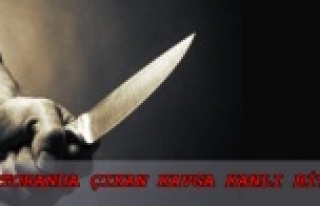 Alanya'da bir restoranda çıkan kavga kanlı...