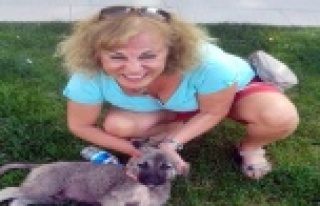 Ferahnaz hemşireyi hayattan koparan kazanın detayları...