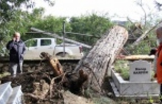 Görenler gözlerine inanamadı! Mezarlar yerinden...