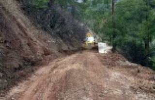 Heyelanın kapattığı yollar açıldı