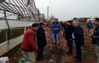 Hortumun zararları gün yüzüne çıktı: 90 dekarlık...