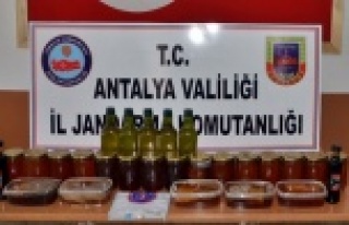 Jandarma uyuşturucunun yanında çalıntı bal ve...