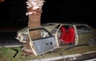 Palmiye ağacına çarpan otomobil hurdaya döndü