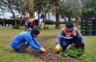 Alanya Caddelerini Büyükşehir renklendirecek
