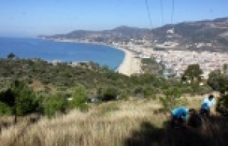 Alanya Teleferik hattı badem ağaçlarıyla süslenecek