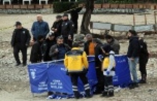 Sahile vücudunun yarısı olmayan ceset vurdu!