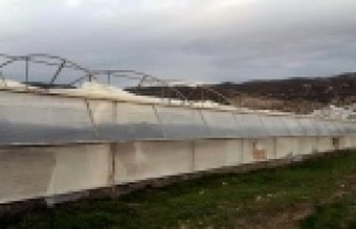 Şiddetli rüzgar seralara zarar verdi