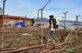 TARSİM sigortası üreticiye umut oldu