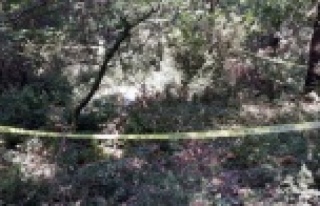 9 parça halinde bulunan erkek cesedi Asım Bayram'a...