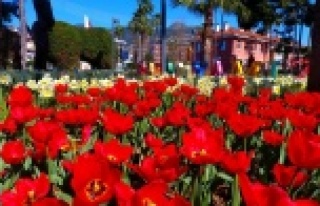 Alanya caddelerinde bahar müjdelendi