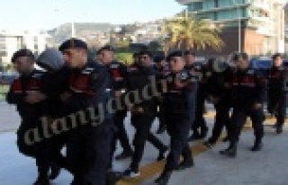 Alanya’da dev çete operasyonu! 15 kişi tutuklandı