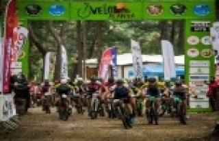 Alanya’da kıyasıya mücadele ettiler