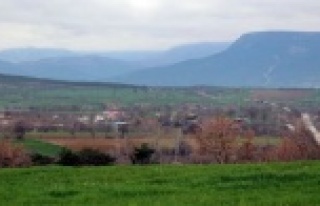 Alanyalı iş adamından kenevir ekme talebi