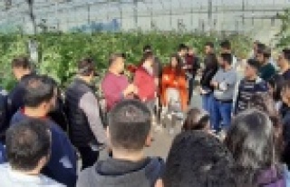 Topraksız seraları ziyaret ettiler