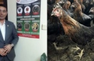 Göktepe'den Alanyalı üreticilere çağrı!