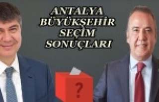 Antalya'da Böcek zaferi!