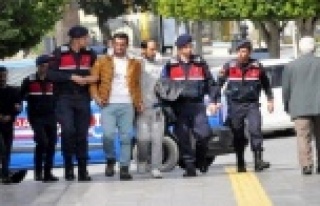 Küçükbaş hırsızları jandarmadan kaçamadı!