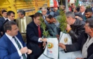 Vatandaşa ücretsiz fidan dağıtıldı