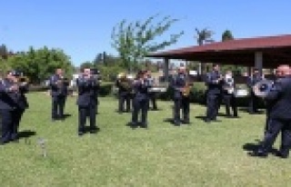 AKM bahçesine, Zeytin, Çam, Portakal ağaçları...