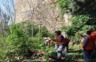 Büyükşehir’den tarihi surlarda bahar temizliği