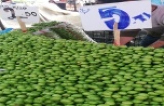 Eriğin ateşi düştü