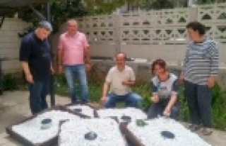 2019'da Alanya'da ne kadar koza üretimi...