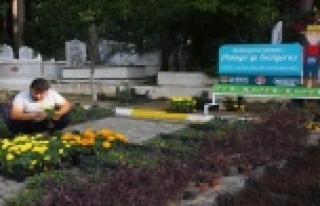 Alanya'da mezarlıklara 50 bin çiçek dağıtılacak