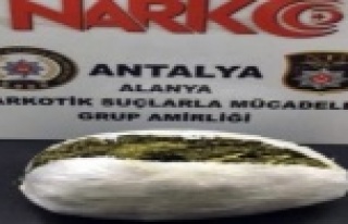 Alanya’da 1.5 kilogram esrar ele geçirildi