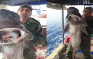 Balıkçı 1 metre uzunluğunda dev sardalya yakaladı