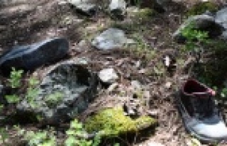 Defineciler jandarmayı" trafik kazası yaptık"...