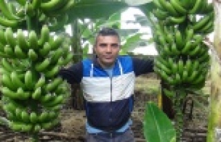 Muzun kilogram fiyatı rekor kırdı