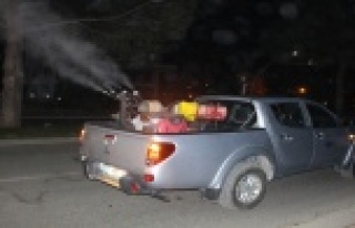 Gazipaşa’da sinekle ‘ULV’li mücadele başladı