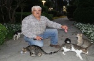 Kedisi Minnoş’u bulana en organik ödül