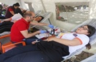 Kendi günlerinde kök hücre ve kan bağışı yaptılar