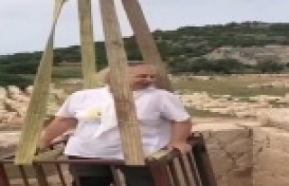 Prof. Dr. Havva İşkan Işık'ın vinçli bilim...