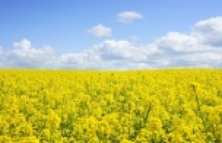 Tarımda katma değeri yüksek üretim hamlesi