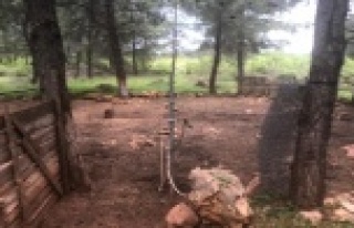 Topraktan alınan lastik numunesi, hırsızları 300...